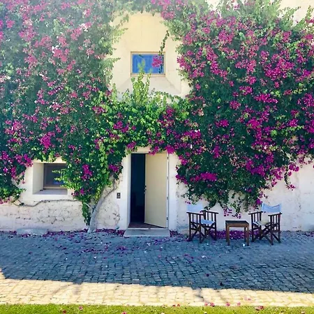 Bernardas Convent Tavira